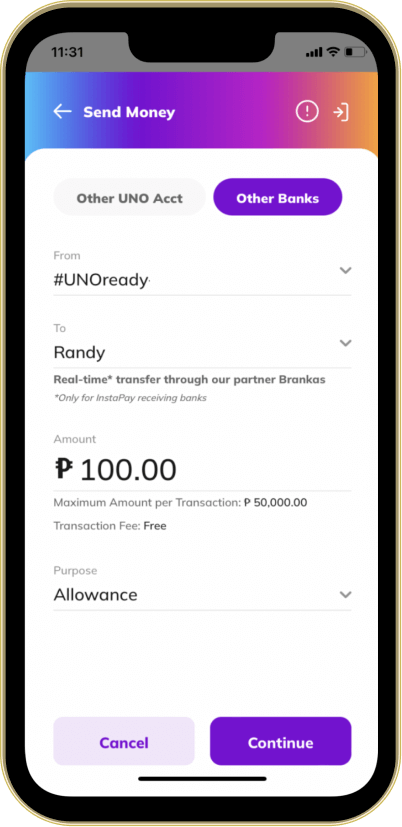 User inputs details for sending money