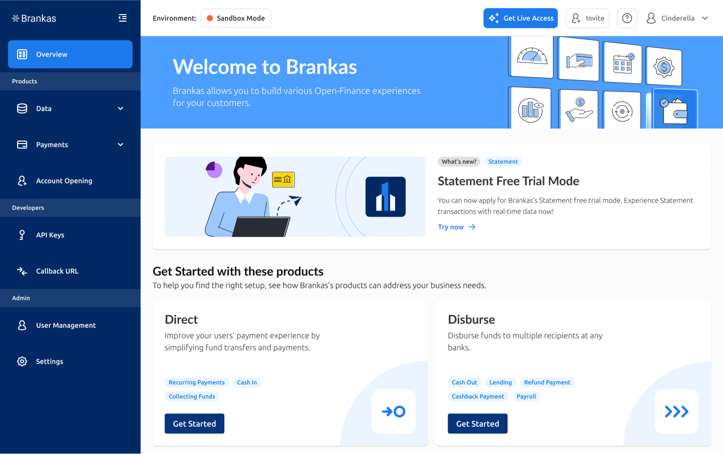Meeting Brankas Exec